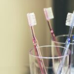 歯の本数が多いと要介護になりにくいって本当?